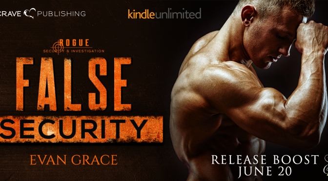 NEW RELEASE!!! ~ False Security by Evan Grace